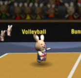 Волейбол с кроликом