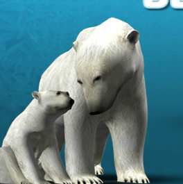 Полярные медведи: Мама и сынок
