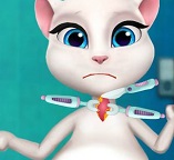 Беременная кошка Анжела: Опасная инфекция